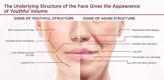 Showing the different areas of the face that show the signs of aging the most.
