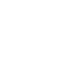 Capizzi Icon Logo