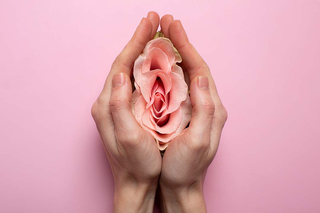 Benefits of Labiaplasty: Woman holding rose in hands.